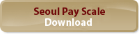 SeoulPayScale PDF download